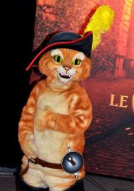 Gatto con gli stivali